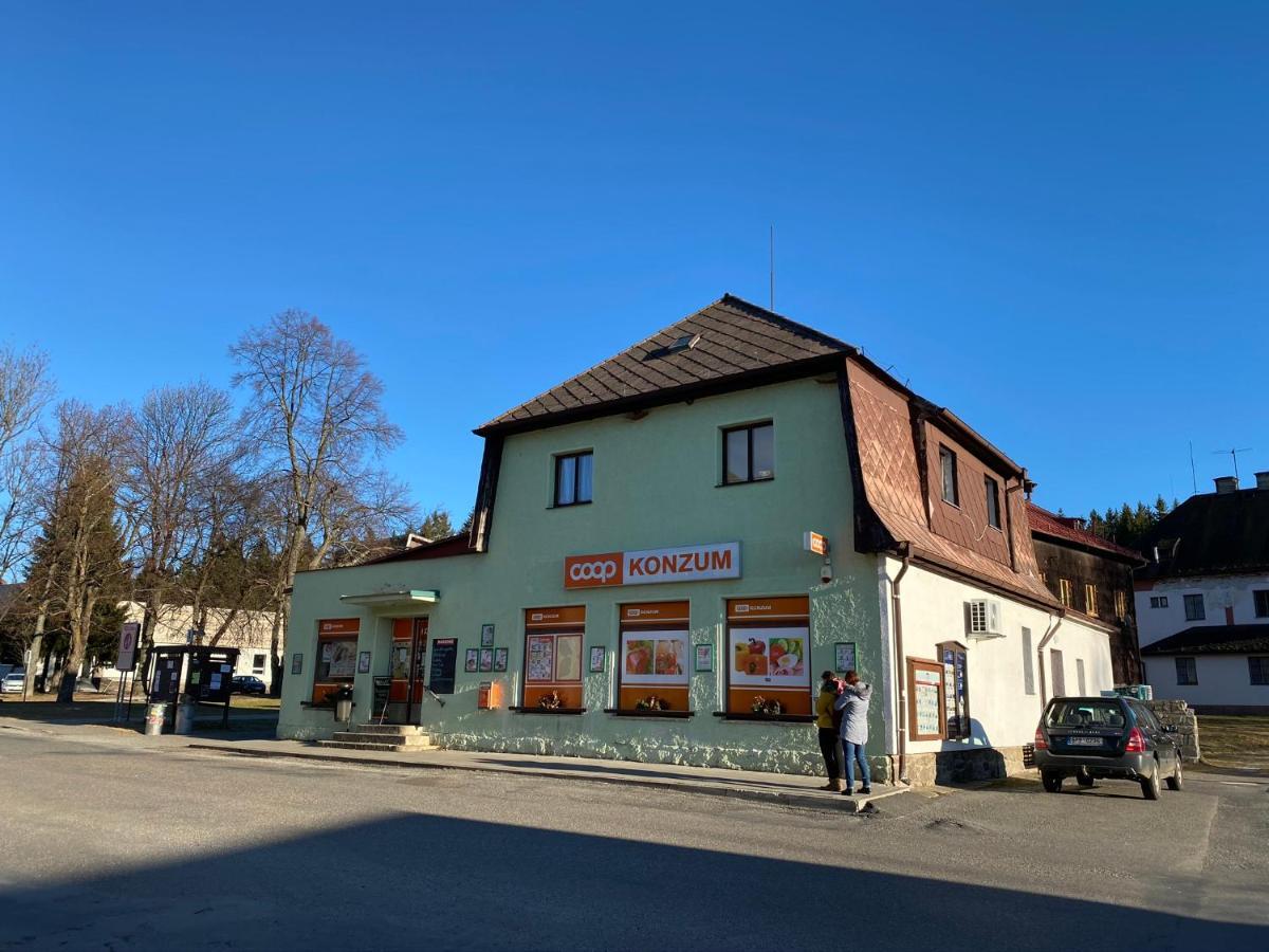 Apartman U Lesa, Srni 119 Zewnętrze zdjęcie