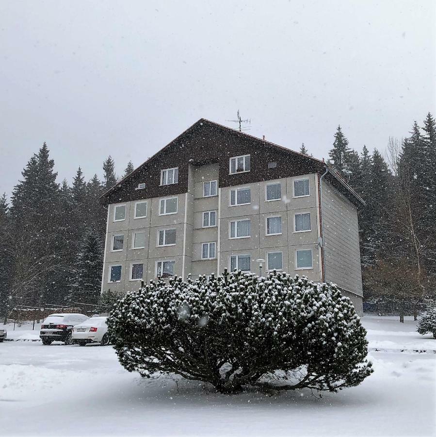 Apartman U Lesa, Srni 119 Zewnętrze zdjęcie